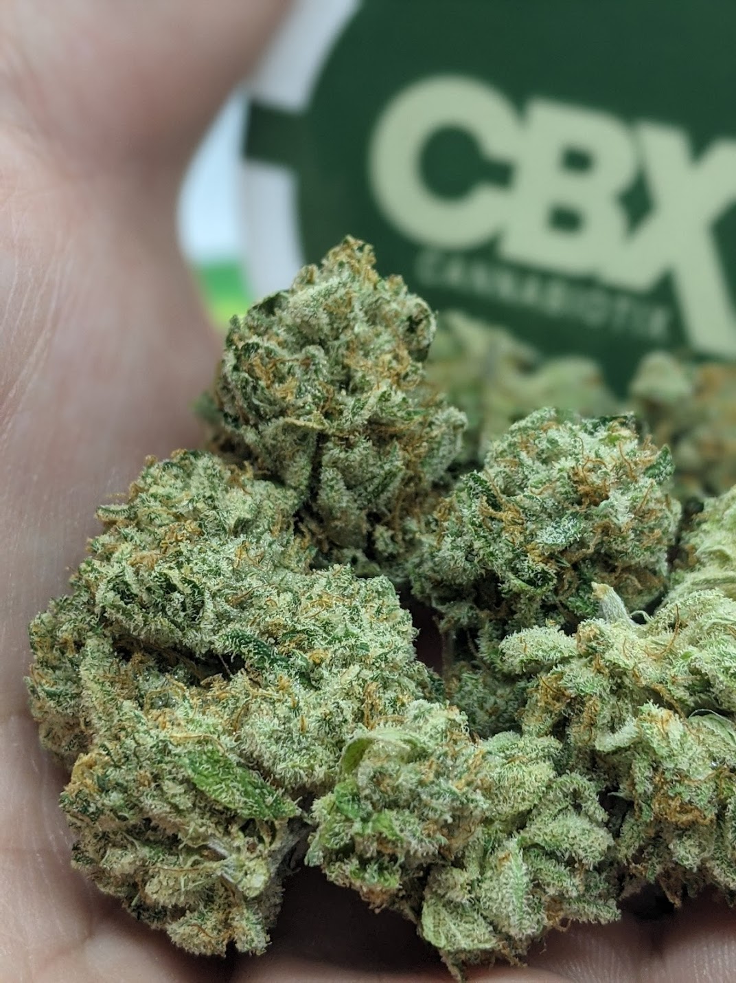 Cereal Milk from Cannabiotix - West Coast Weed Reviews